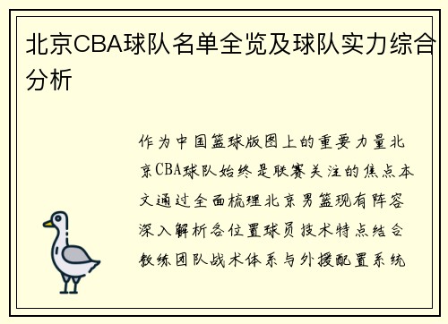 北京CBA球队名单全览及球队实力综合分析
